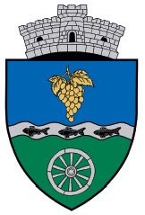 Герб, печать, символ, эмблема Лазы