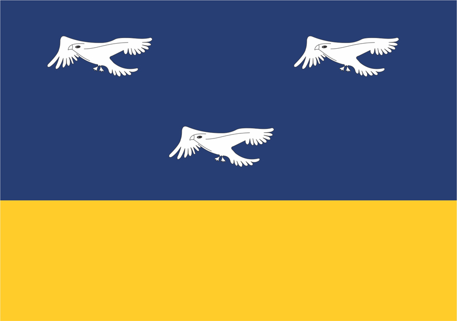 Флаг Арапонгаша