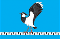 Флаг Жердевки